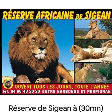 L'esprit Marin Lejlighed *