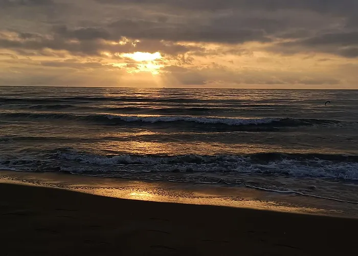 Διαμέρισμα L'esprit Marin *